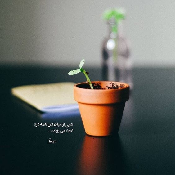 متن مفهومی کوتاه برای واتساپ، استوری اینستاگرام (انگیزشی و درباره زندگی)