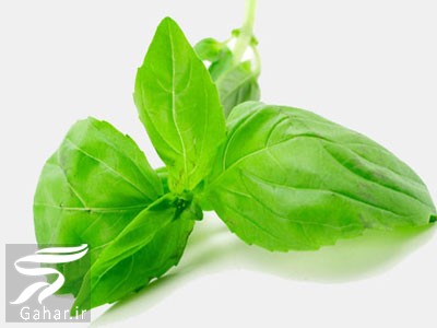 برای درمان اسهال چه بخوریم (قرص و داروهای گیاهی)