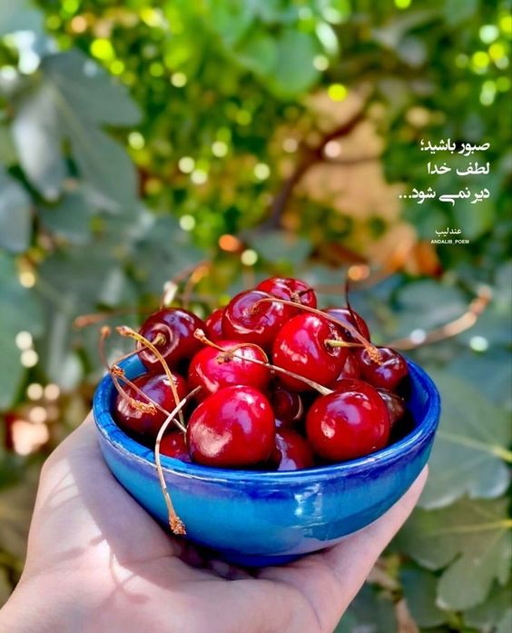 متن مفهومی کوتاه برای واتساپ، استوری اینستاگرام (انگیزشی و درباره زندگی)