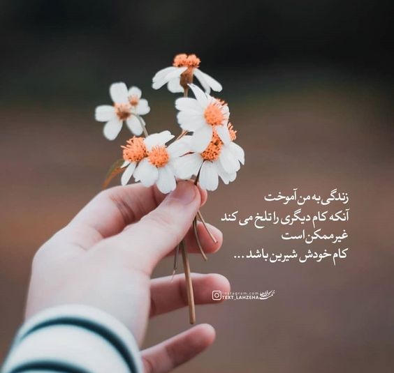 متن مفهومی کوتاه برای واتساپ، استوری اینستاگرام (انگیزشی و درباره زندگی)