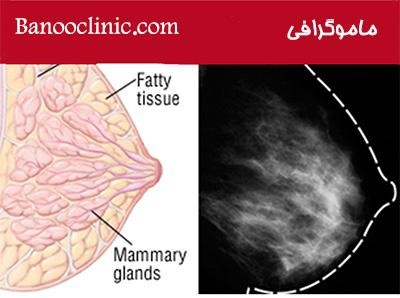 مجموعه ای از بهترین ها در کلینیک بانو