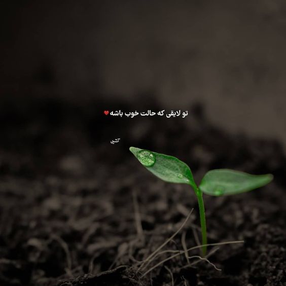 متن مفهومی کوتاه برای واتساپ، استوری اینستاگرام (انگیزشی و درباره زندگی)