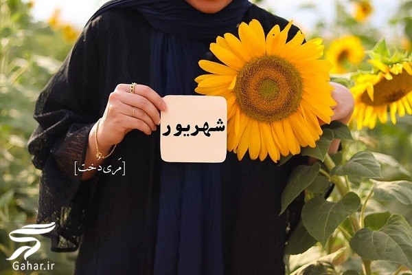 متن تبریک تولد شهریور ماهی | استوری تولد شهریور ماهی