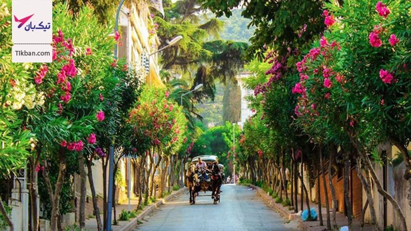 همه چیز درباره تور استانبول