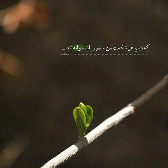متن مفهومی کوتاه برای واتساپ، استوری اینستاگرام (انگیزشی و درباره زندگی)