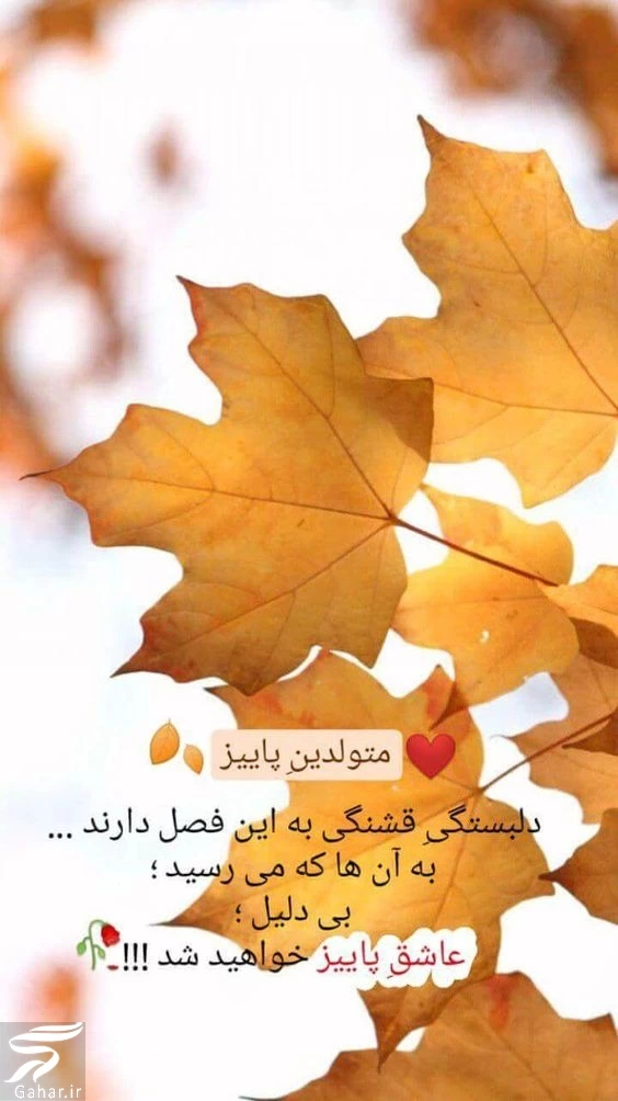 پروفایل تبریک تولد مهر ماهی | استوری تولد مهر ماهی