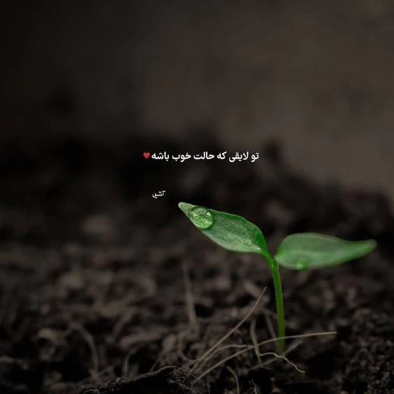 عکس انگیزشی بدون متن