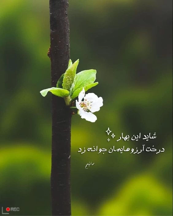 عکس انگیزشی بدون متن