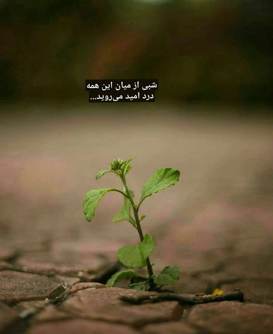 عکس انگیزشی بدون متن