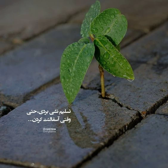 عکس انگیزشی بدون متن