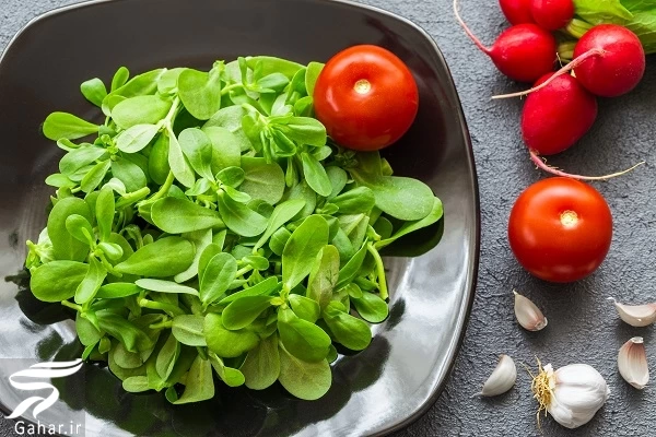 نحوه مصرف خرفه برای لاغری