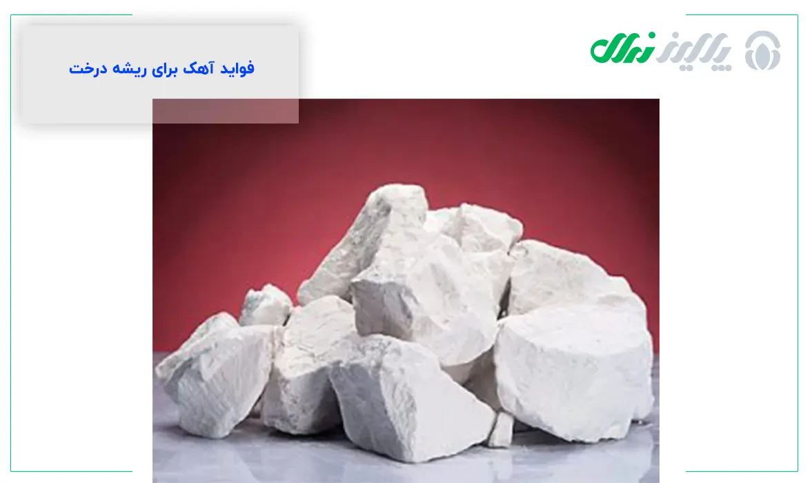 آیا آهک درخت را خشک می&zwnj;کند؟