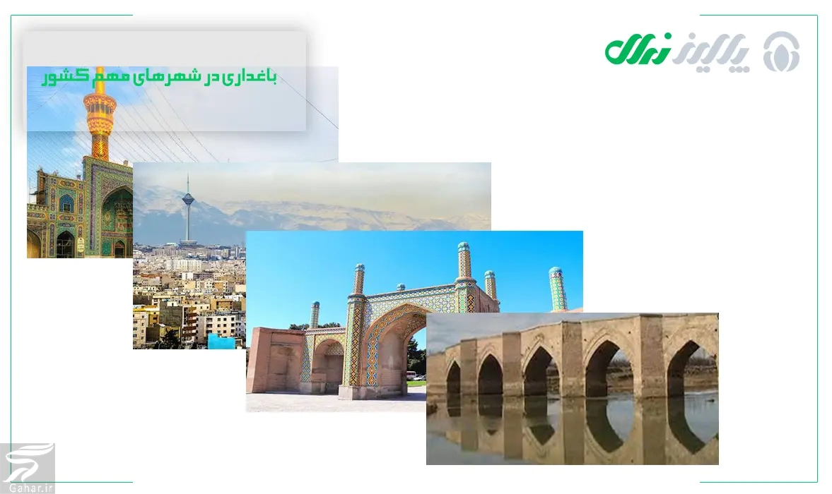 کاشت و انتخاب نهال مناسب شهرهای مشهد، تهران، قزوین و میاندوآب