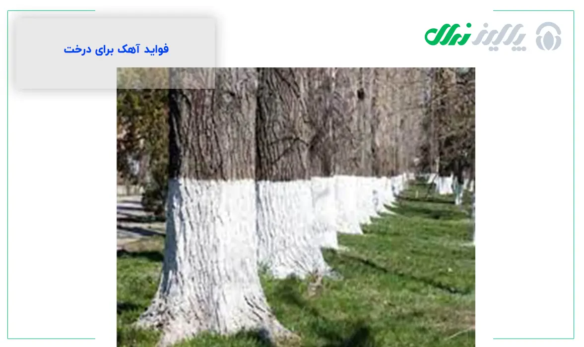 آیا آهک درخت را خشک می&zwnj;کند؟
