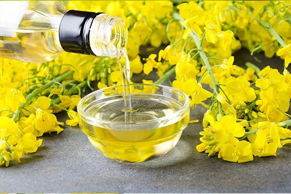 هر کیلو کلزا چقدر روغن میدهد؟ راهنمای روغن گیری از کلزا
