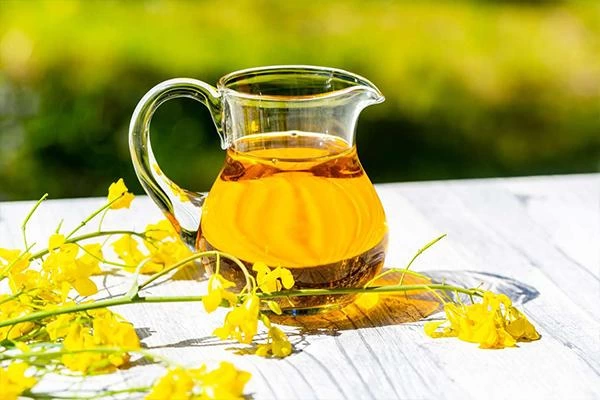 هر کیلو کلزا چقدر روغن میدهد؟ راهنمای روغن گیری از کلزا