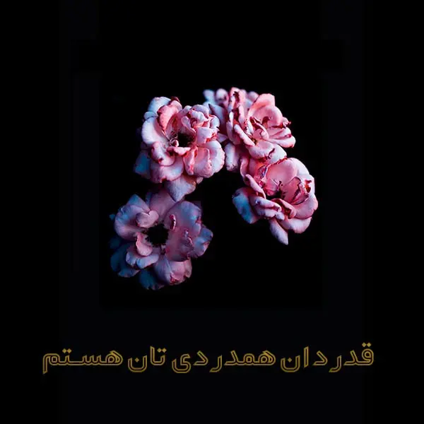 جواب پیام تسلیت رسمی کوتاه (متن و عکس)