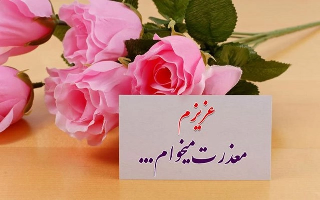 پیام معذرت خواهی عاشقانه + متن عذرخواهی از همسر و عشقم