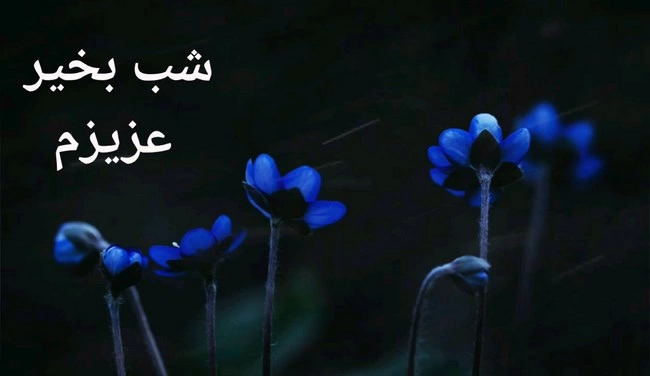 پیام شب بخیر به عشق+ جملات شب بخیر به همسر و عشقم