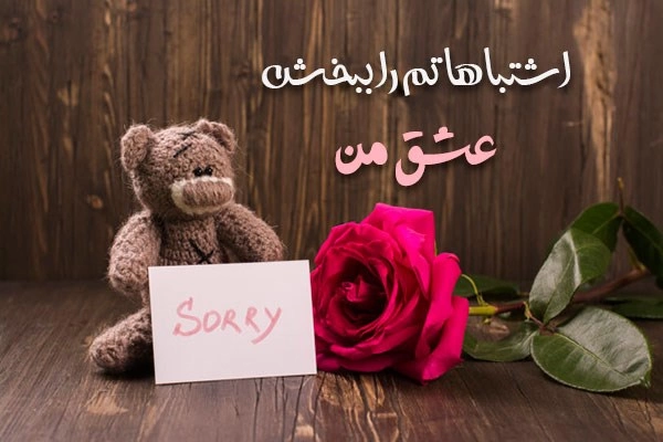 پیام معذرت خواهی عاشقانه + متن عذرخواهی از همسر و عشقم