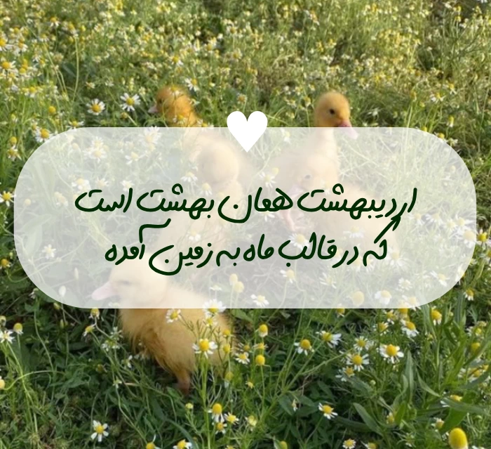 متن اردیبهشتی خاص/ متن در مورد اردیبهشت ماهی بودن