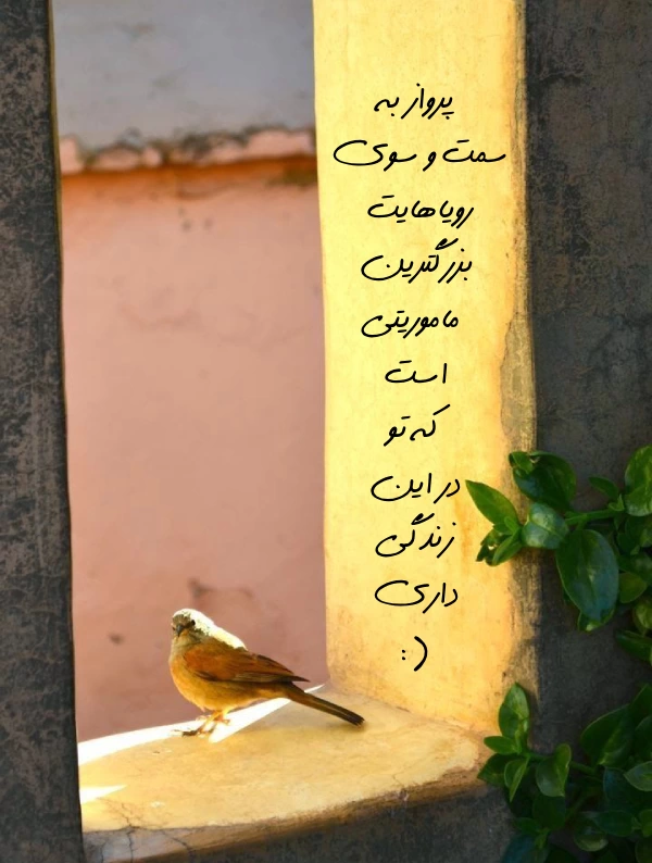 متن صبح بخیر خاص انگیزشی و پرانرژی کوتاه
