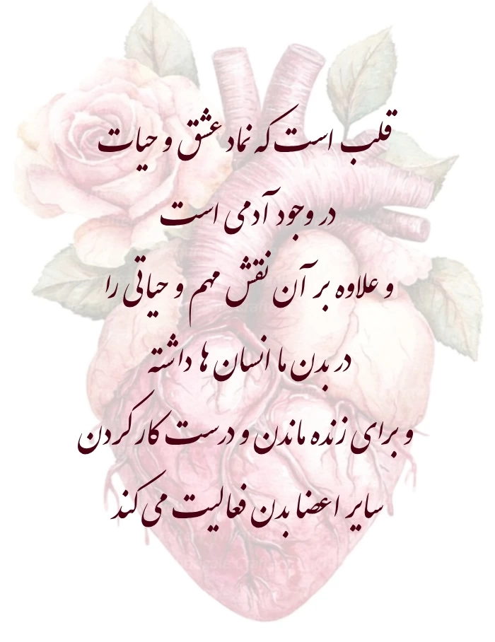 عکس و متن زیبا به مناسبت روز جهانی قلب