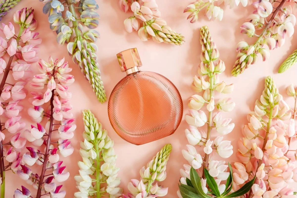 چرا برندهای فرانسوی همیشه در دنیای عطر پیشتازند؟