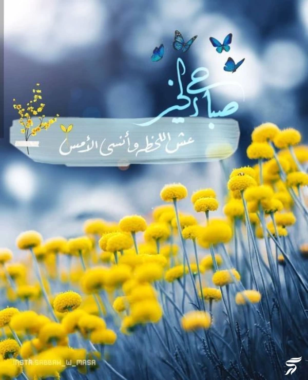 عکس صباح الخیر [20 عکس و متن صباح الخیر عربی]