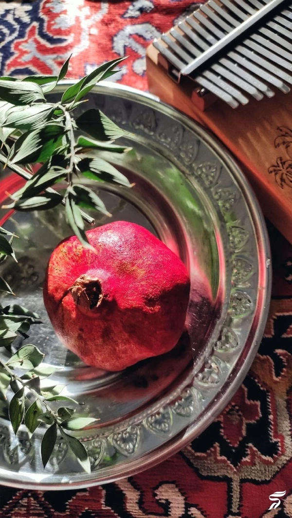 عکس انار برای پروفایل [40 عکس عاشقانه و فانتزی انار برای پروفایل]