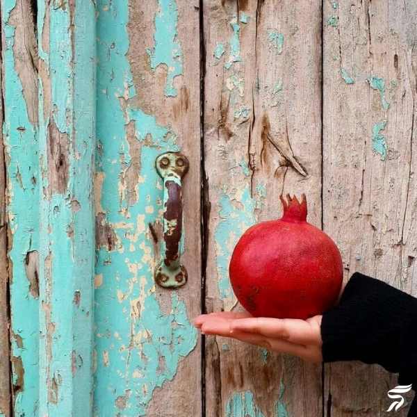 عکس انار برای پروفایل [40 عکس عاشقانه و فانتزی انار برای پروفایل]