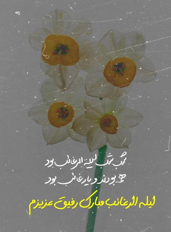 متن شب ارزوها برای رفیق + جملات زیبا لیله الرغائب برای دوست