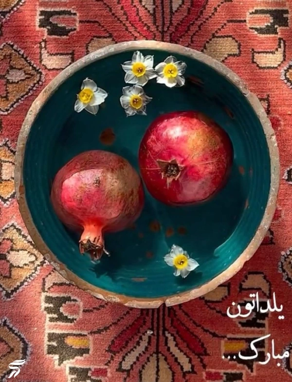 عکس انار برای پروفایل [40 عکس عاشقانه و فانتزی انار برای پروفایل]