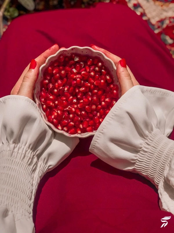 عکس انار برای پروفایل [40 عکس عاشقانه و فانتزی انار برای پروفایل]