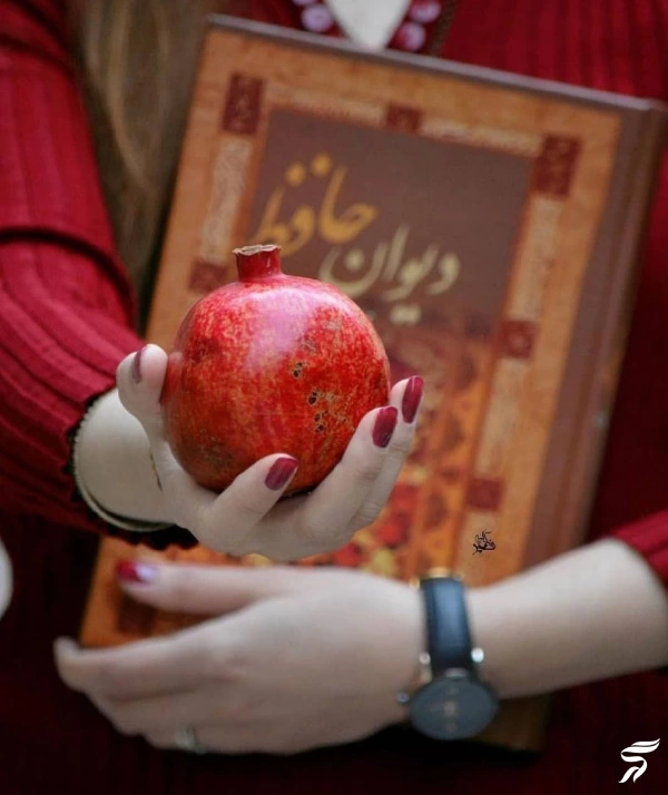 عکس انار برای پروفایل [40 عکس عاشقانه و فانتزی انار برای پروفایل]