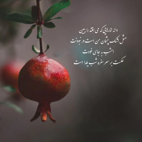 متن شب یلدا برای عزیزان از دست رفته با عکس و متن غمگین