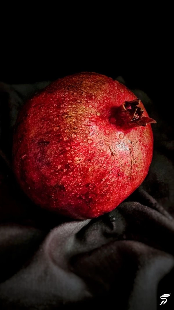 عکس انار برای پروفایل [40 عکس عاشقانه و فانتزی انار برای پروفایل]