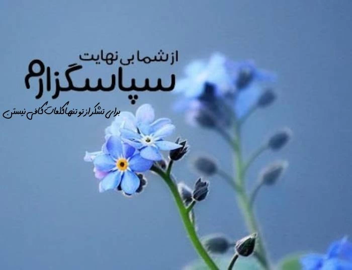 جملات زیبا برای تشکر + 50 متن کوتاه برای تشکر از دیگران