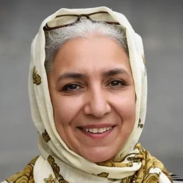 بازیگران سریال مهیار عیار با عکس + خلاصه داستان