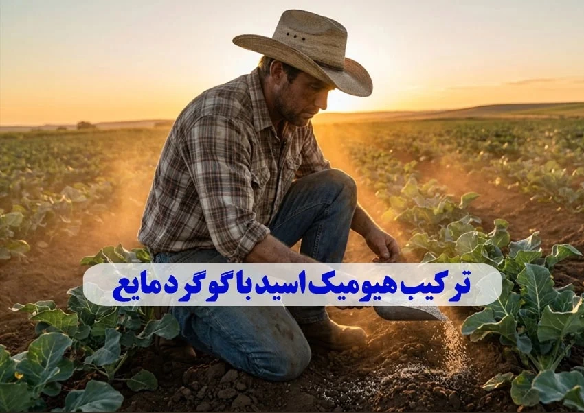 ترکیب هیومیک اسید با گوگرد مایع (مزایا و نکات فنی)